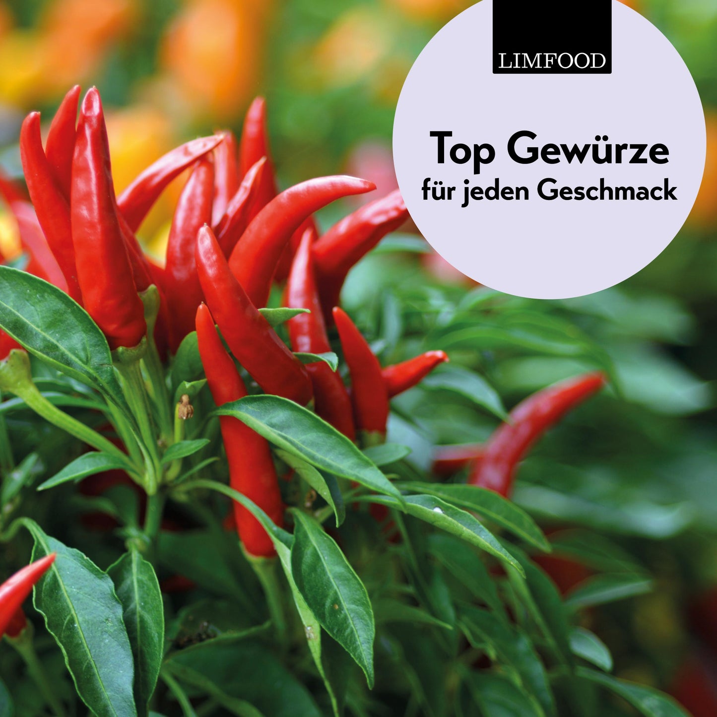 Limfood | 100g Birds Eye Chili Schoten ganz getrocknet, sehr scharfe Chilis